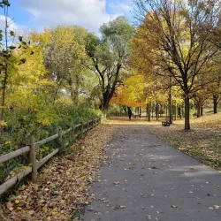Toogood Pond Park - Richmond Hill