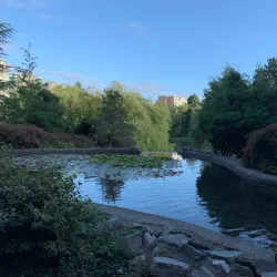 Minoru Park - Richmond