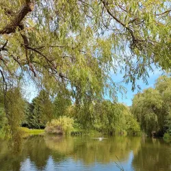 Minoru Park - Richmond