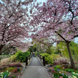 Minoru Park - Richmond