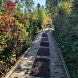 Richmond Nature Park - Richmond