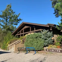 Richmond Nature Park - Richmond