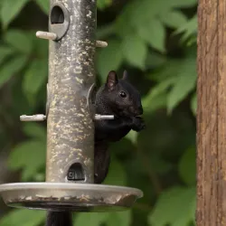 Richmond Nature Park - Richmond
