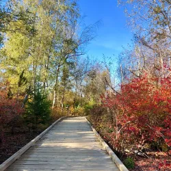 Richmond Nature Park - Richmond