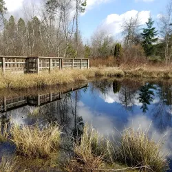 Richmond Nature Park - Richmond