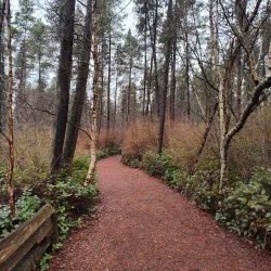 Richmond Nature Park - Richmond