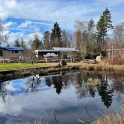 Richmond Nature Park - Richmond