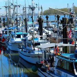 Steveston Village - Richmond