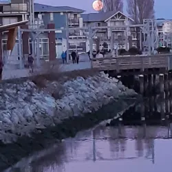 Steveston Village - Richmond