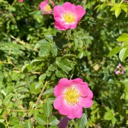 Terra Nova Rural Park - Richmond