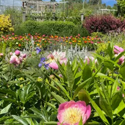 Terra Nova Rural Park - Richmond