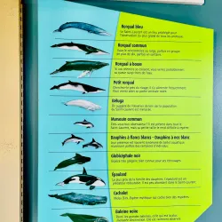 Centre d'interprétation du milieu marin (CIMM) - Rimouski,QC