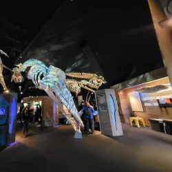 Centre d'interprétation du milieu marin (CIMM) - Rimouski,QC