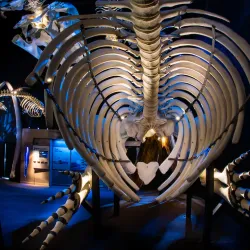 Centre d'interprétation du milieu marin (CIMM) - Rimouski,QC