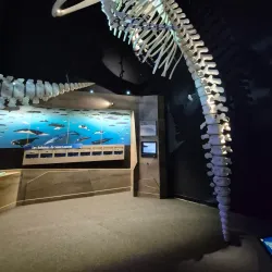 Centre d'interprétation du milieu marin (CIMM) - Rimouski,QC