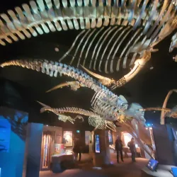 Centre d'interprétation du milieu marin (CIMM) - Rimouski,QC