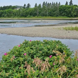 Parc Beauséjour - Rimouski,QC