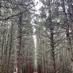 Parc national du Bic - Rimouski,QC