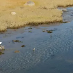 Promenade de la Mer - Rimouski,QC