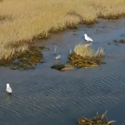 Promenade de la Mer - Rimouski,QC