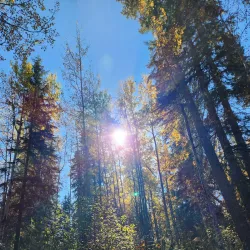 Baxter Provincial Park - Rocky Mountain House