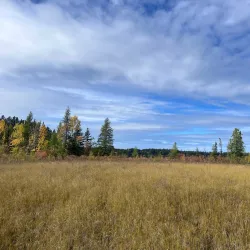 Bighorn Wildland Provincial Park - Rocky Mountain House