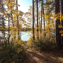 Bighorn Wildland Provincial Park - Rocky Mountain House