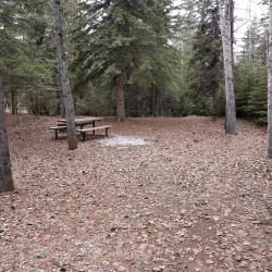 Bighorn Wildland Provincial Park - Rocky Mountain House