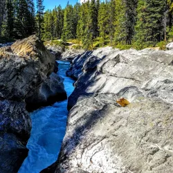 Kootenay Plains Ecological Reserve - Rocky Mountain House