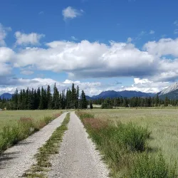 Kootenay Plains Ecological Reserve - Rocky Mountain House