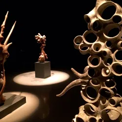 Centre d'exposition d'art de Rouyn-Noranda - Rouyn-Noranda