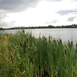 Lac Osisko - Rouyn-Noranda