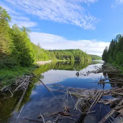 Parc National d'Aiguebelle - Rouyn-Noranda