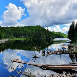 Parc National d'Aiguebelle - Rouyn-Noranda