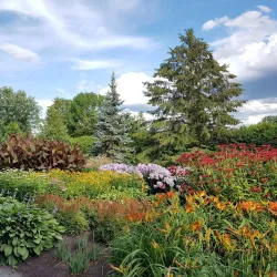 Parc Roger-Turcotte - Rouyn-Noranda