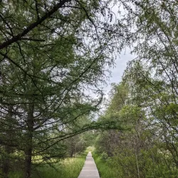 Parc Roger-Turcotte - Rouyn-Noranda