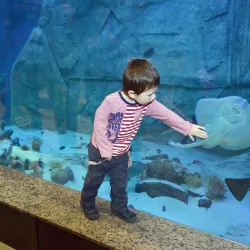 Musee du Fjord - Saguenay