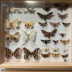 Musee du Fjord - Saguenay