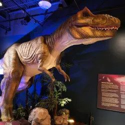 Musee du Fjord - Saguenay