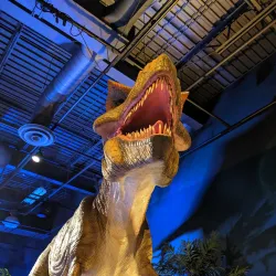 Musee du Fjord - Saguenay