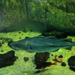 Musee du Fjord - Saguenay