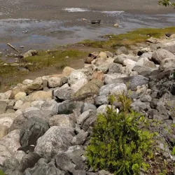 Musee du Fjord - Saguenay
