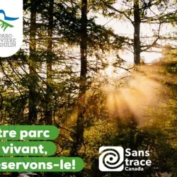 Parc de la Rivière-du-Moulin - Saguenay