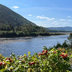 Saguenay Fjord National Park - Saguenay