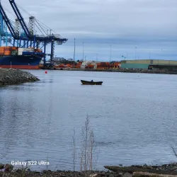 Harbour Passage - Saint John