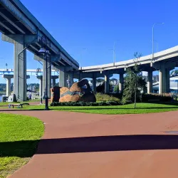 Harbour Passage - Saint John