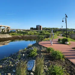 Harbour Passage - Saint John