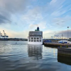 Harbour Passage - Saint John