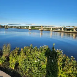 Harbour Passage - Saint John