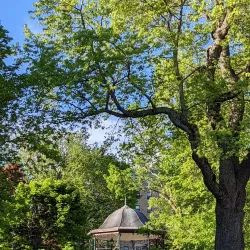 King's Square - Saint John